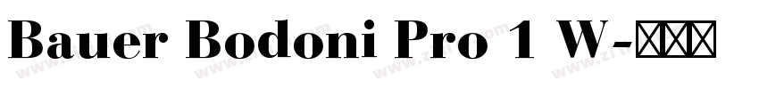 Bauer Bodoni Pro 1 W字体转换